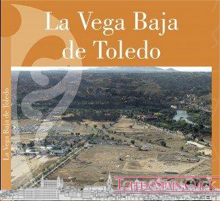 The Lower Vega of Toledo