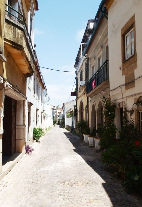 The Alley of the Jacintos