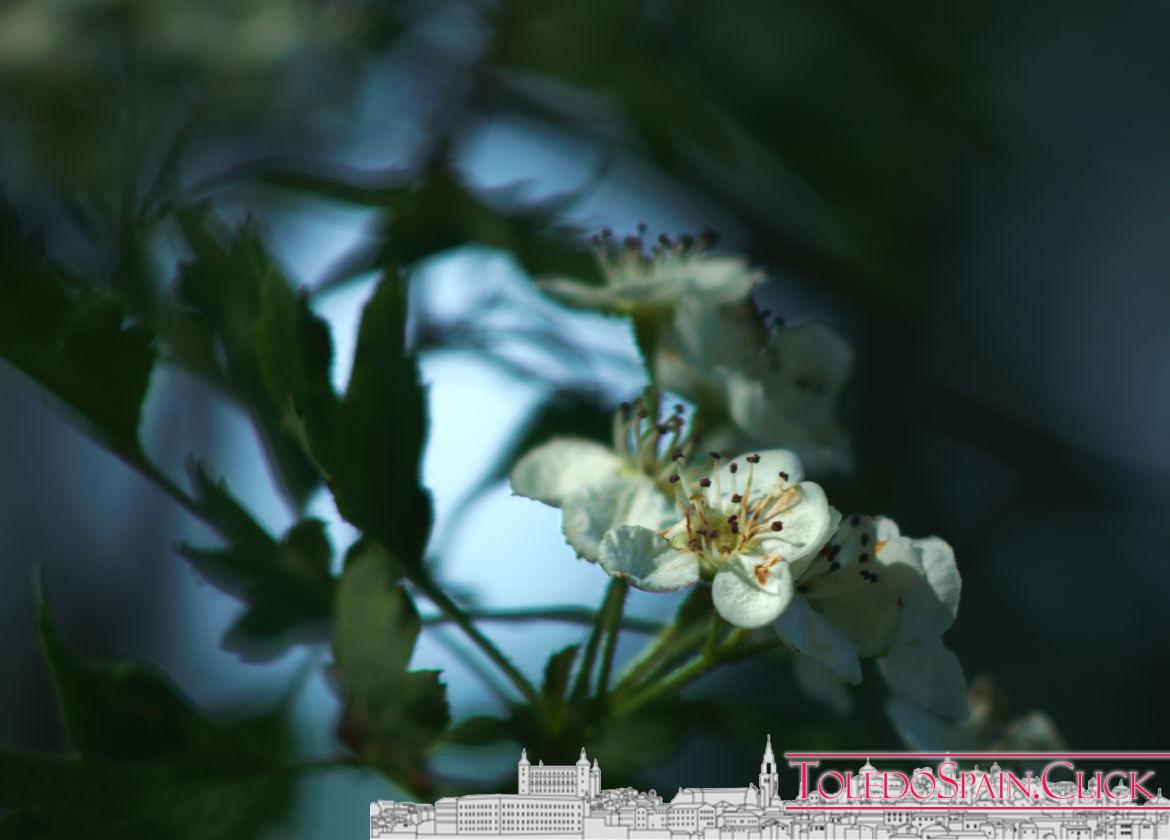 The Well and the Pendulum Legend The Well and the Pendulum Legend