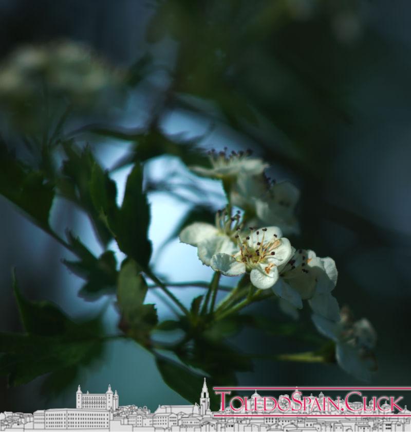 The Well and the Pendulum Legend The Well and the Pendulum Legend